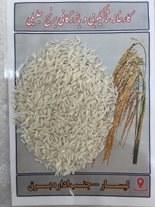 برنج شیرودی سه الکه