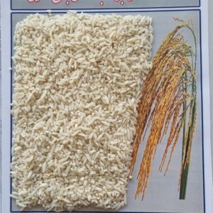 لاشه سورت شده