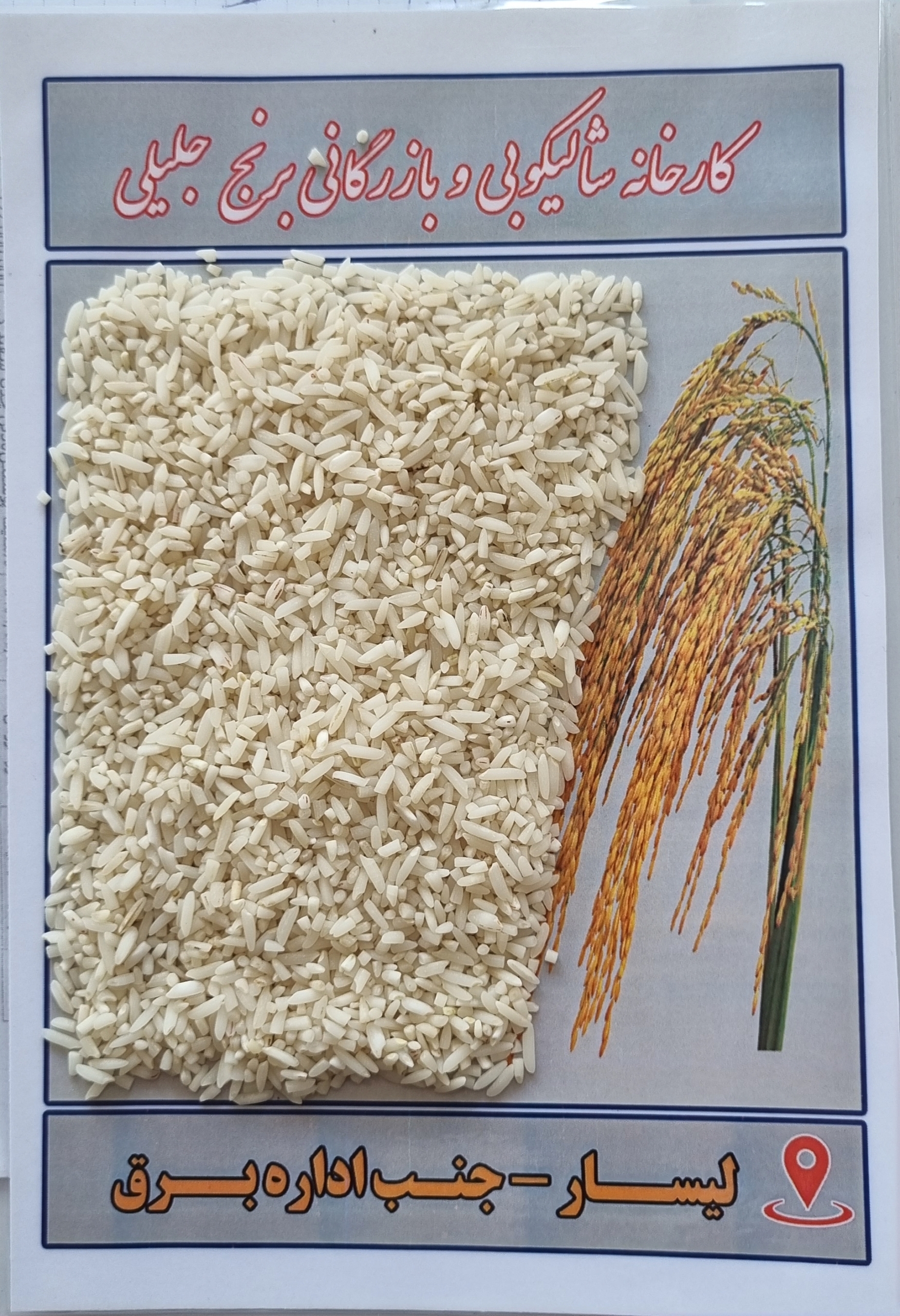 لاشه سورت شده